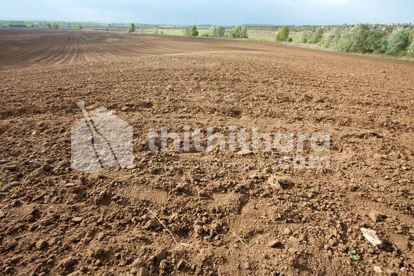 Residential land for sale at Chandranagar Palakkad