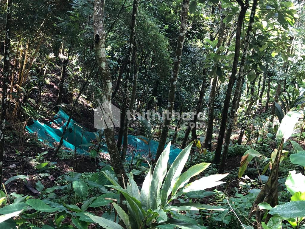 Plot for Sale at Peerumedu, Idukki
