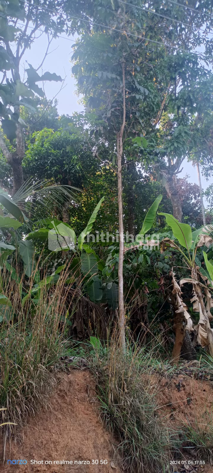 Residential land for sale at Mananthavady Wayanad 