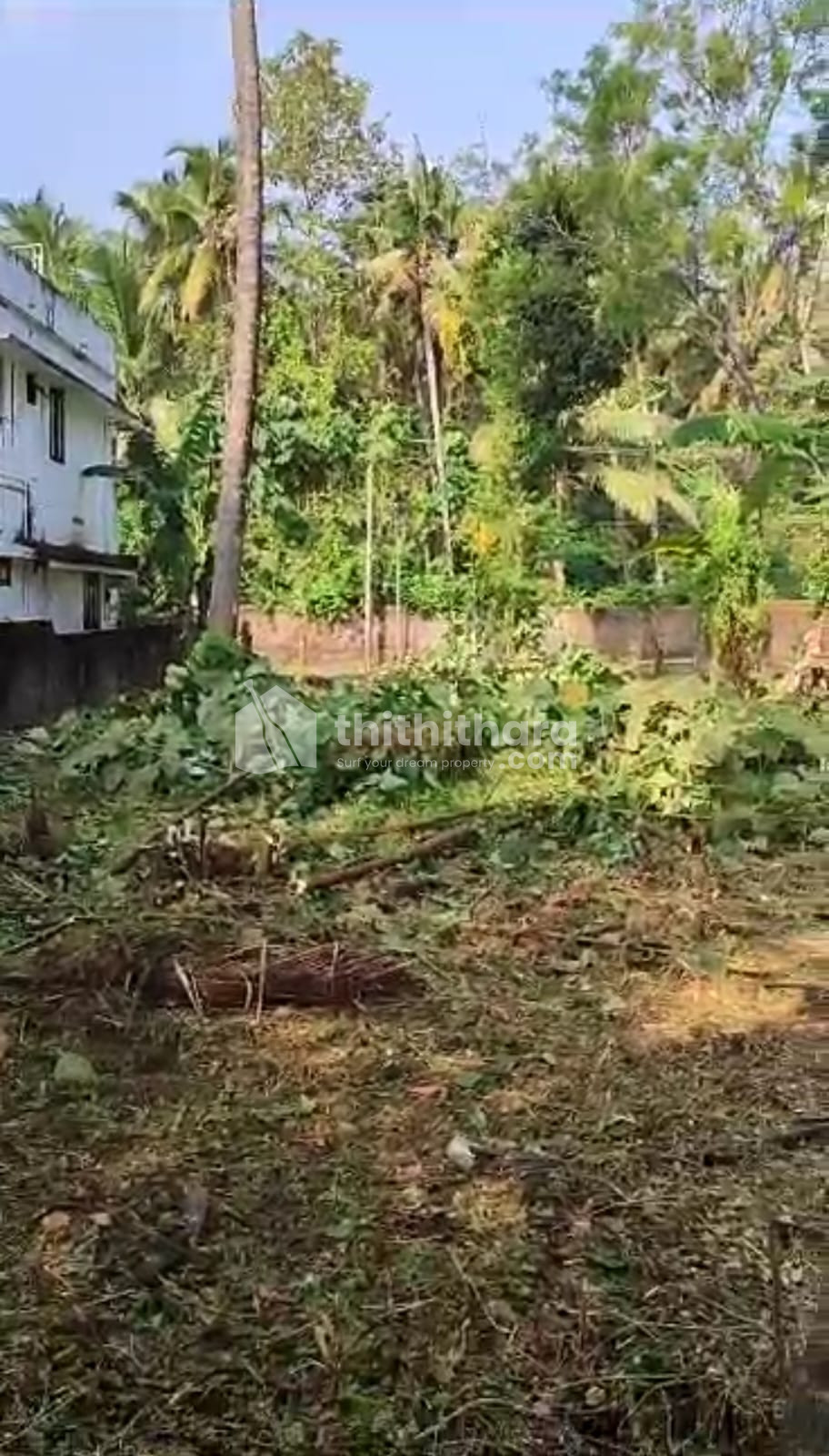 Residential Land for Sale at Kuttaneloor, Thrissur