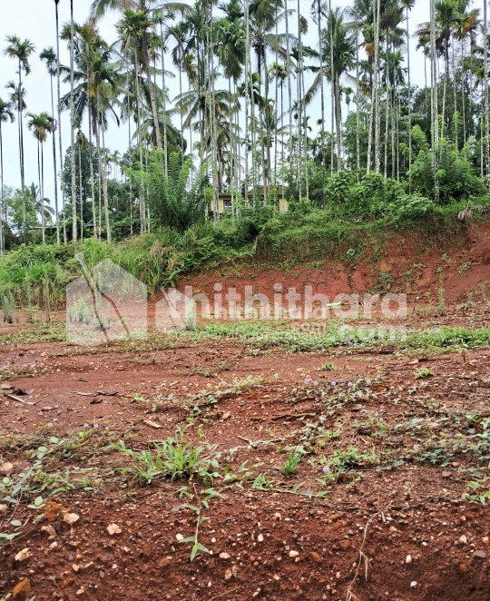 Agricultural land for sale at Sulthanbathery Wayanad