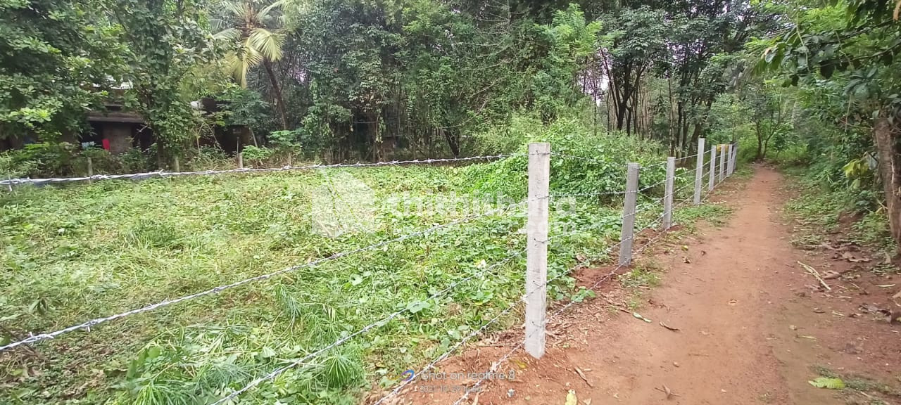 Agricultural land for sale at Mannarkad Palakkad