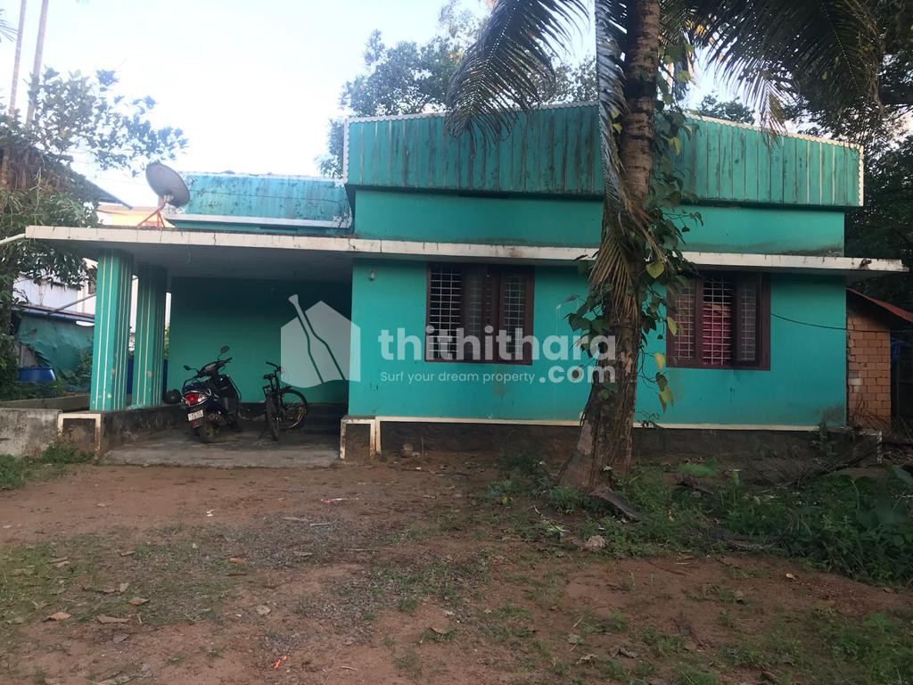 12.25 Cent Residential Plot for Sale in Nellayi, Thrissur
