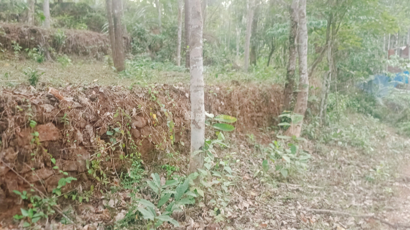 Residential Land for sale at Vettukad Malappuram