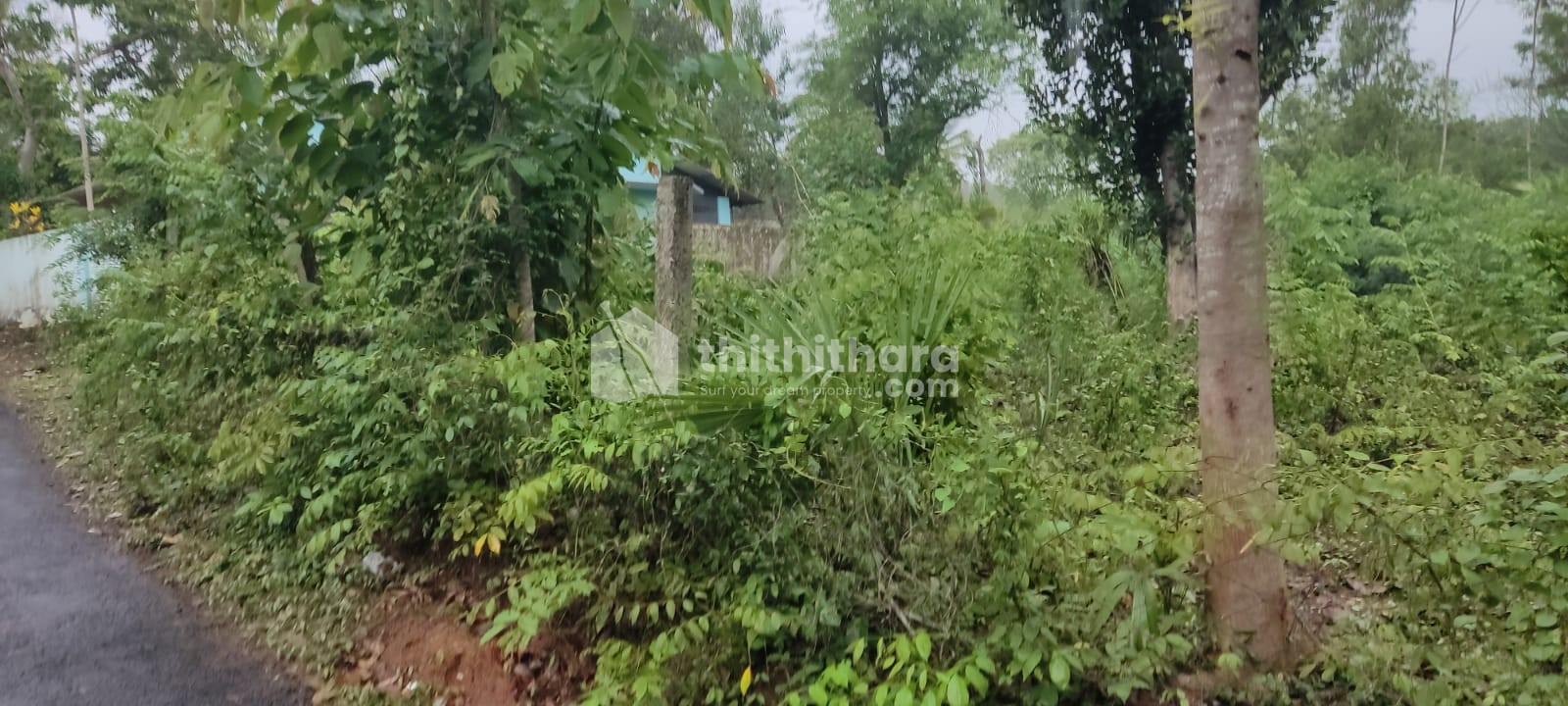 Residential Land for sale at Ottapalam Palakkad