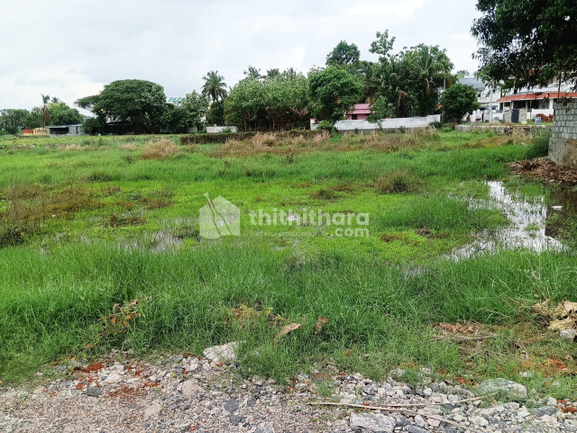 Plot for sale in palakkad near lulumal
