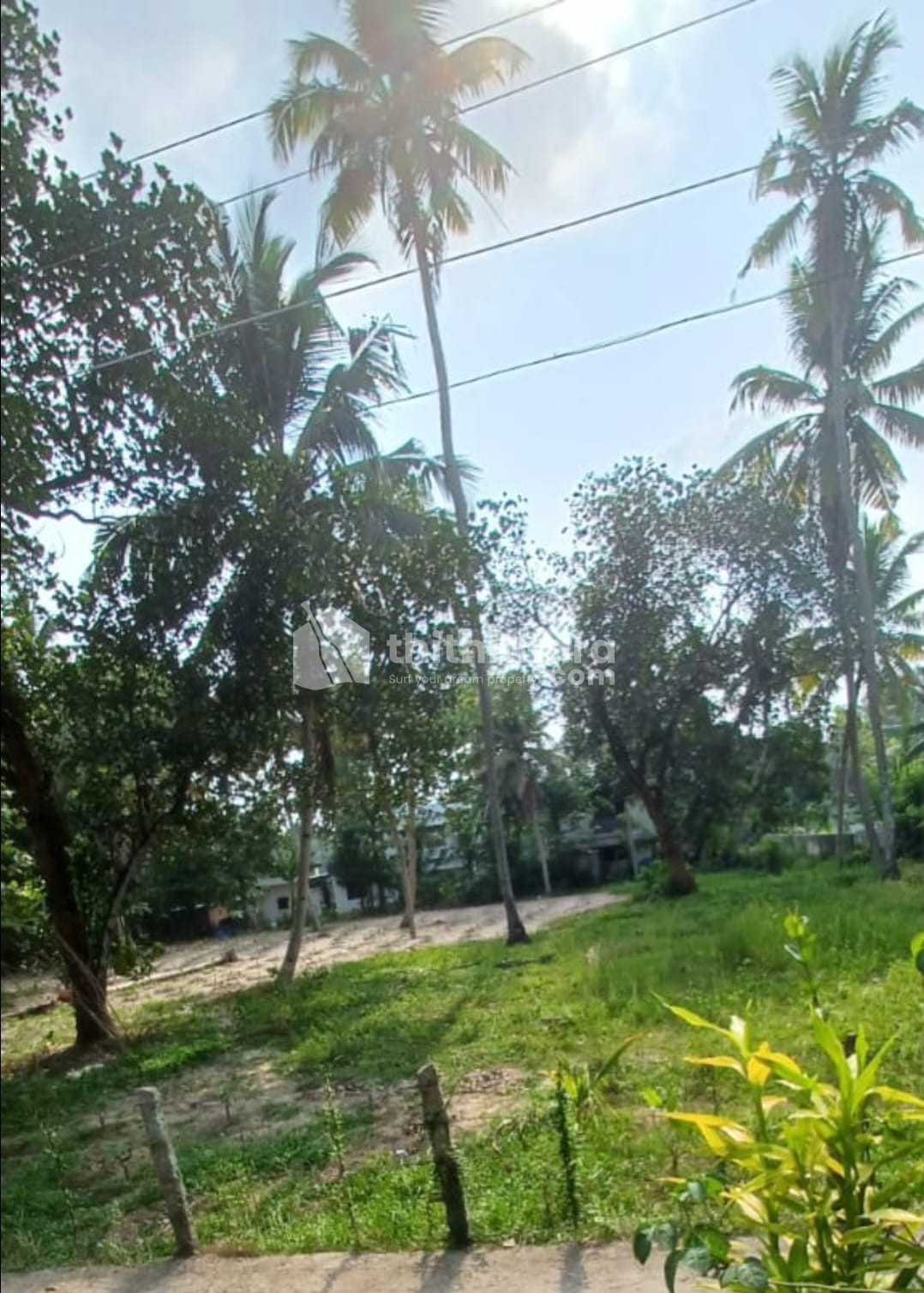Commercial Plot for rent at Njakkanal Alappuzha