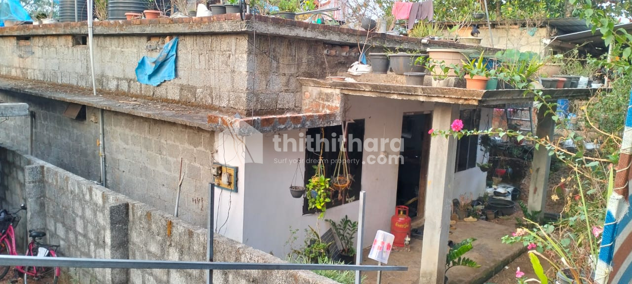2 BHK residential house for sale at  Panjipalla Ernakulam