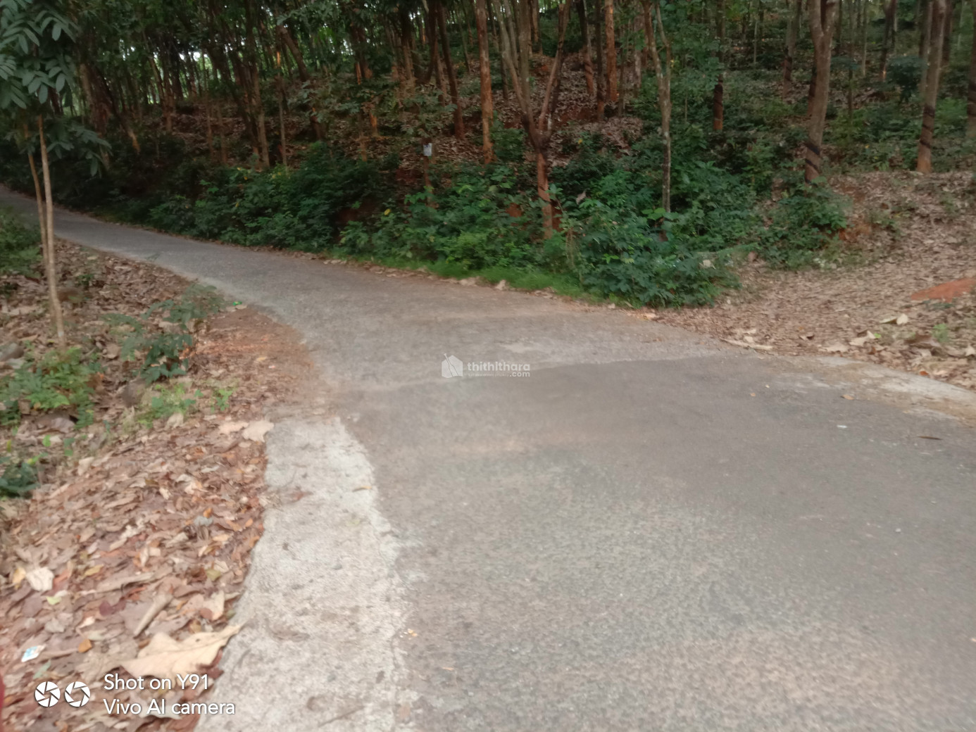 Residential land for sale at Manjeri Pandikkad