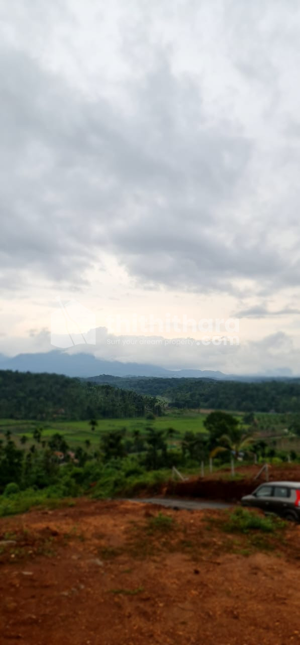 Residential land for sale at Kalpetta Wayanad