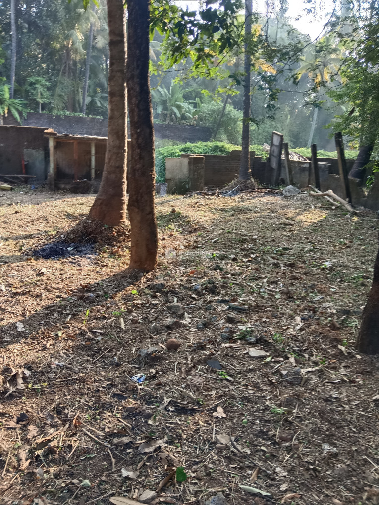  Residential plot for sale at  Kalathode puliparambu Thrissur