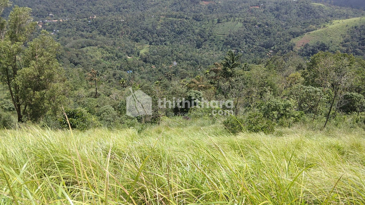 Commercial plot for sale at Vagamon Idukki