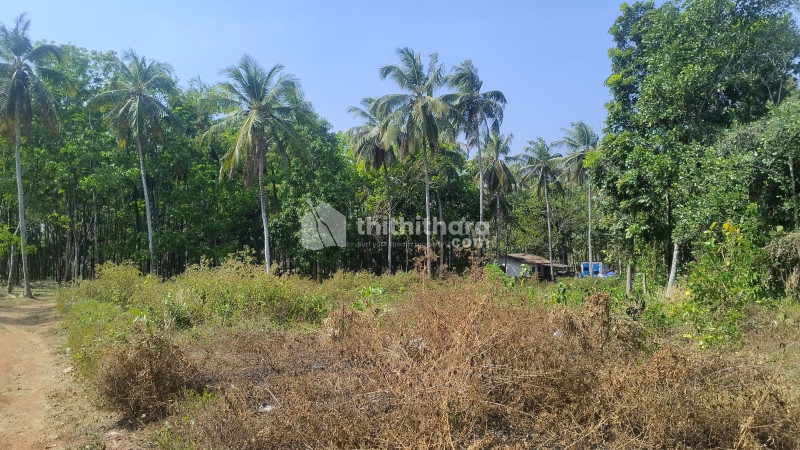 Residential land for sale at Mundur Palakkad 