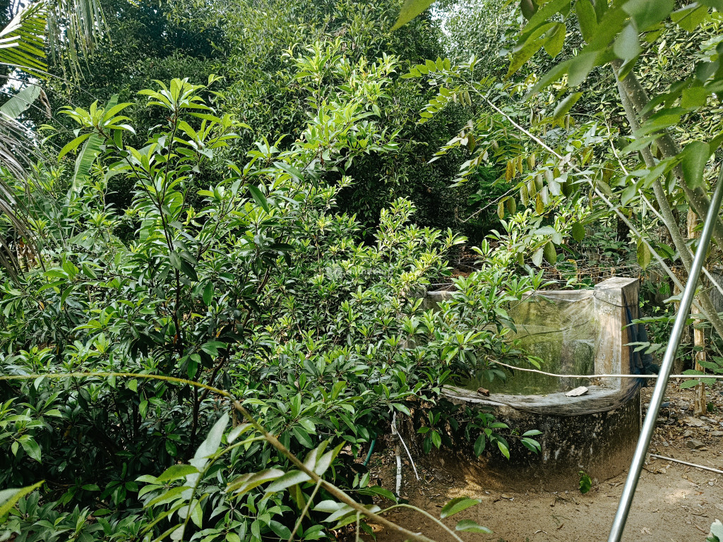 Residential land for sale at Koratty Thrissur