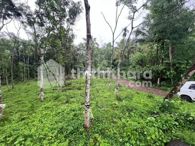 Homestay purpose plot for sale Padichira,Wayanad.