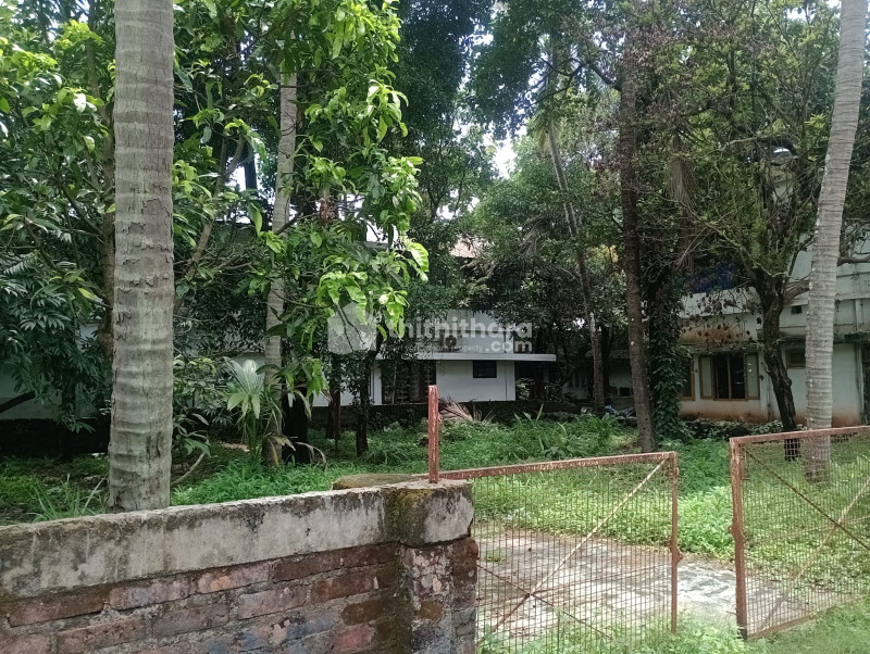 Residential land for sale at Nellikkunnu Thrissur