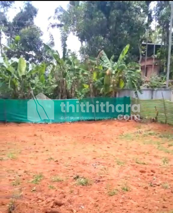 Residential Land for Sale in Thookkukulam, Alappuzha