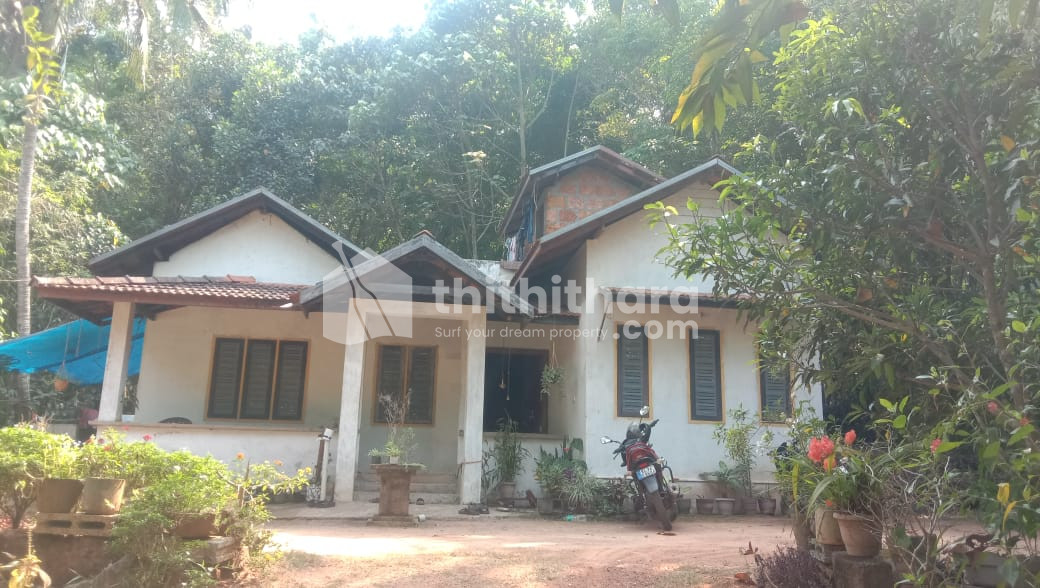 3 BHK House for Sale in Wandoor, Malappuram