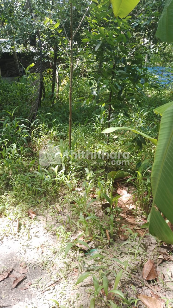 Residential land for sale at Mavelikkara Alappuzha