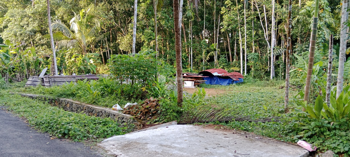 Residential Plot for sale at Pala Kottayam