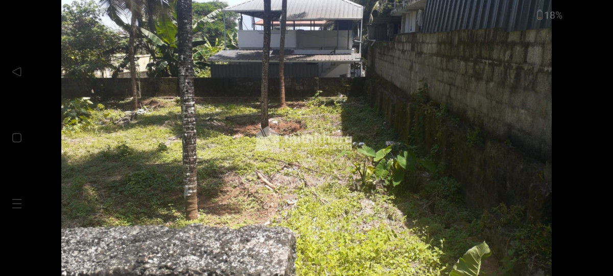 Residential land for sale at Adat Thrissur