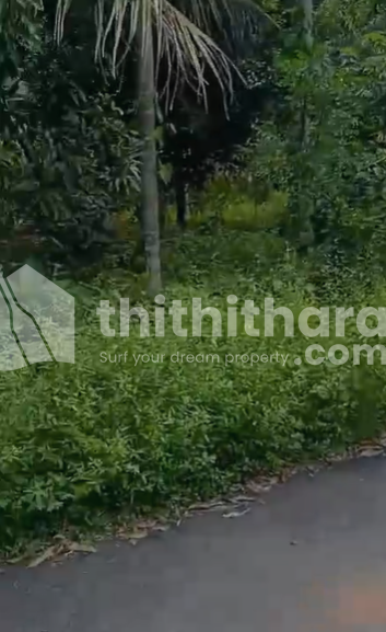 Residential Land available for Sale in Irinjalakuda, Chalakudy, Thrissur