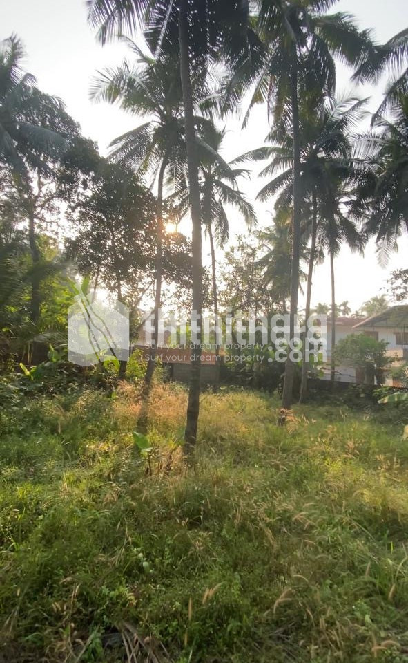 Residential Plot for sale at Pavangad Kozhikode