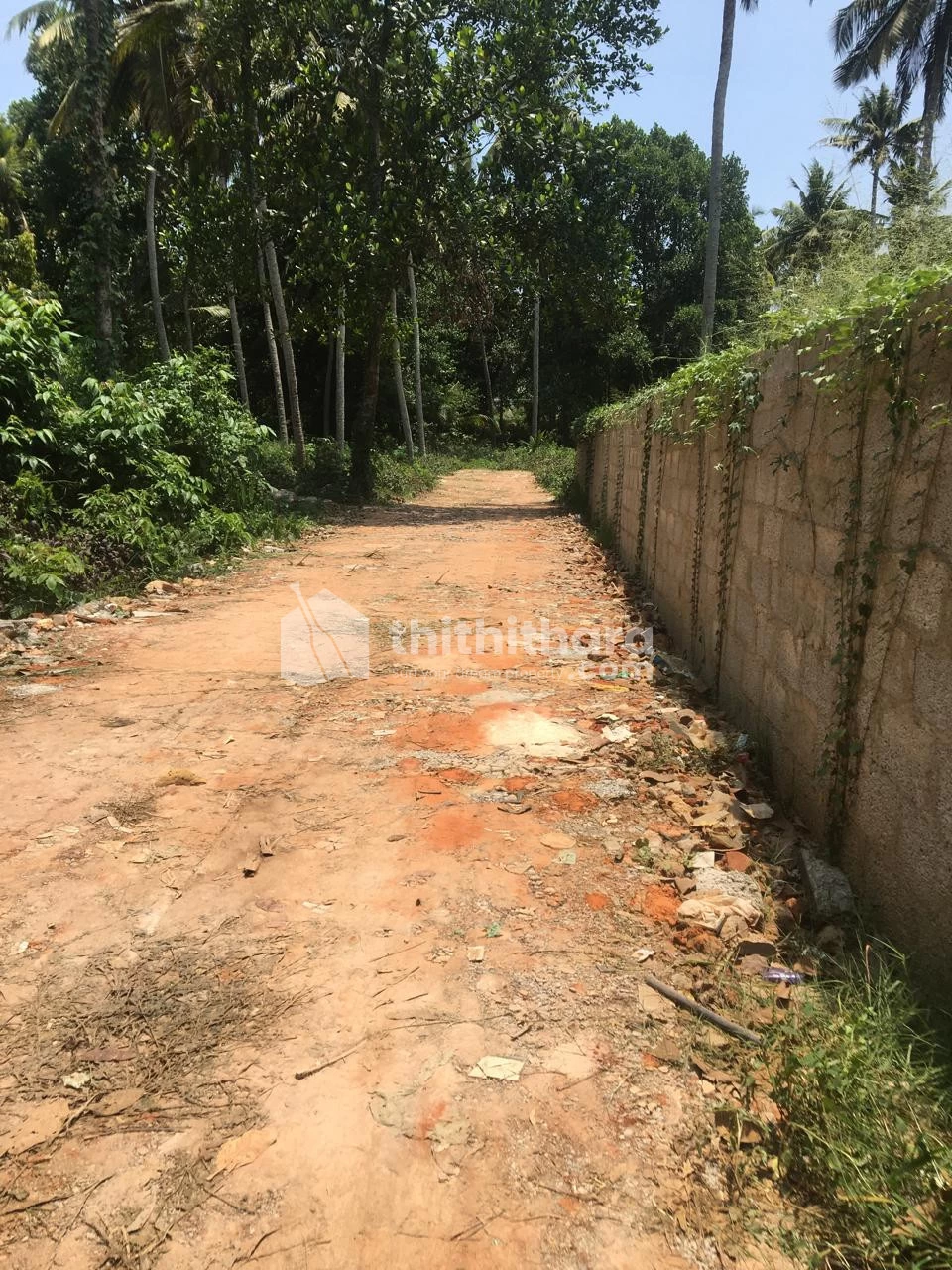 5.5 Cent plot for sale at Kazhakuttom, Trivandrum
