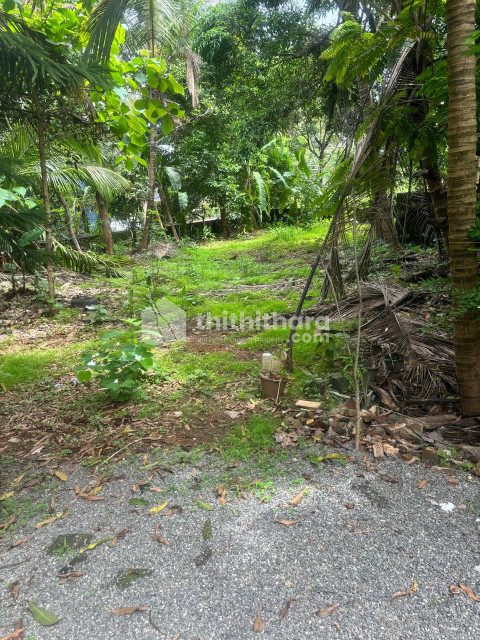 Commercial Square plot for sale at Kulappully Palakkad