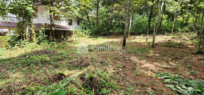 Residential land for sale at ICH Medical college Kottayam