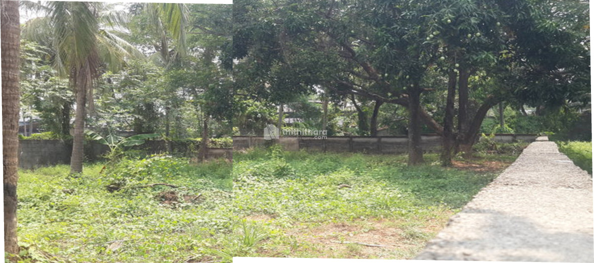 Residential Land for sale in Avenue Road, Unity Nagar,Kuriachira,Thrissur 