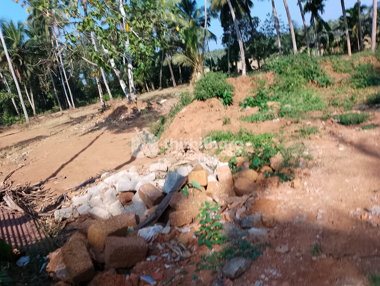 House plots for sale at Adat, Thrissur