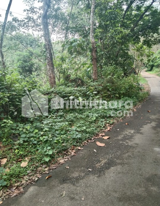 Agricultural land for sale at Kanjirappally Kottayam
