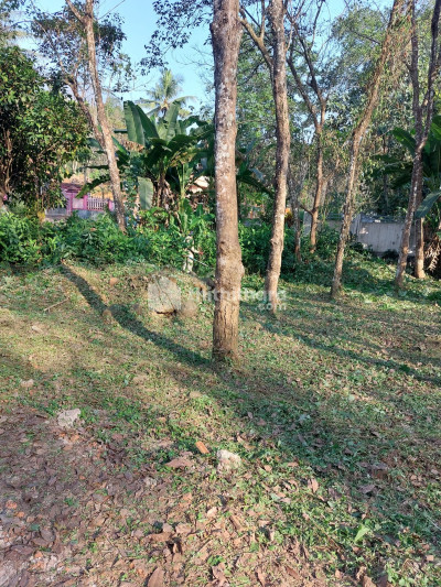 15 cents for sale at Thadiyoor, Thiruvalla