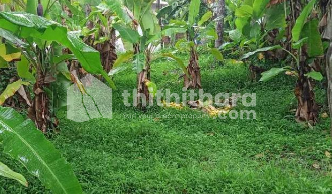 Residential land for sale at Thalassery Kannur