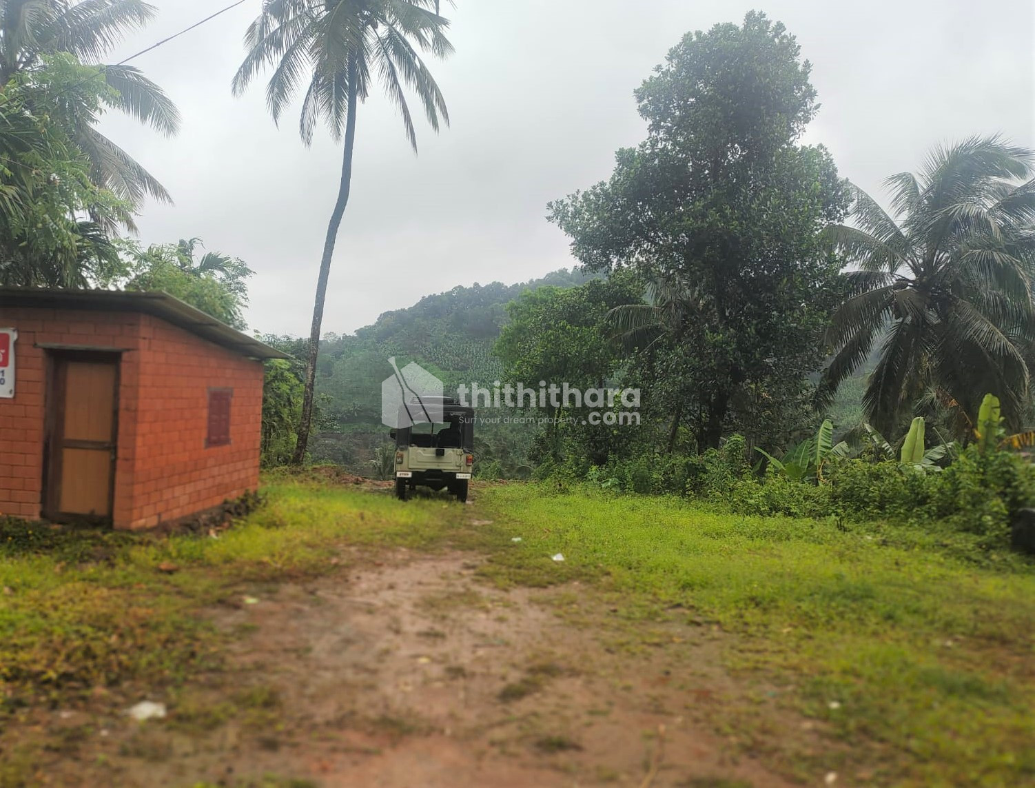 കക്കാടംപൊയിലിൽ റിസോർട്ടിന് അനുയോജ്യമായ സ്ഥലം ലീസിന് 