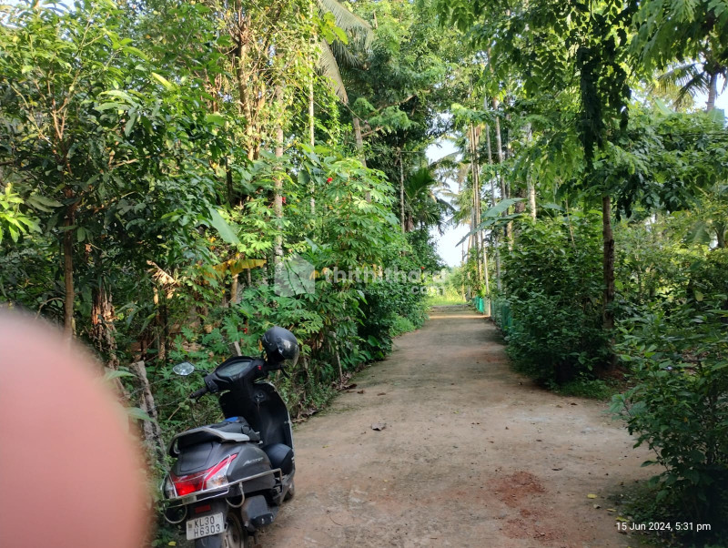 Residential land for sale in Mitramadum Juntion, Pandand, Chengannur Alappuzha