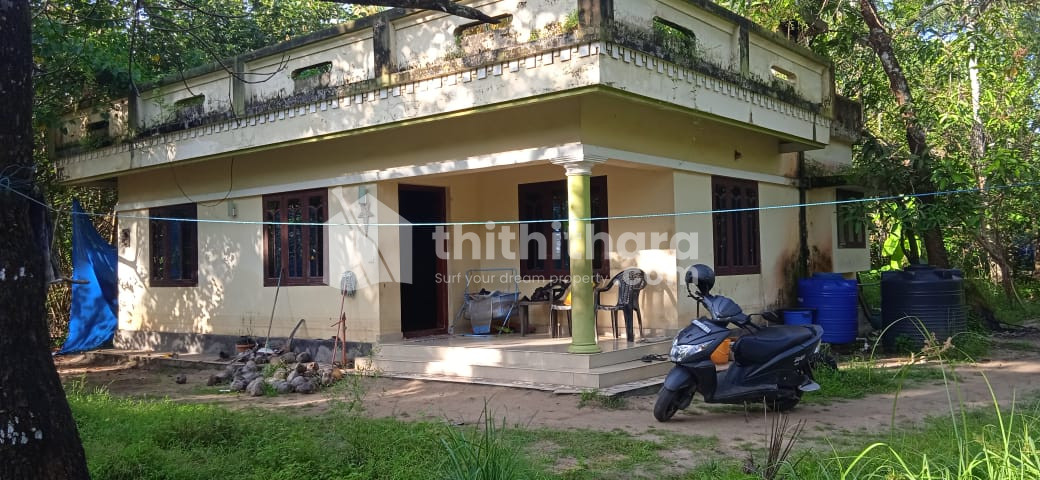 66 cent property and 1000sq.ft house for sale at Kodungallur