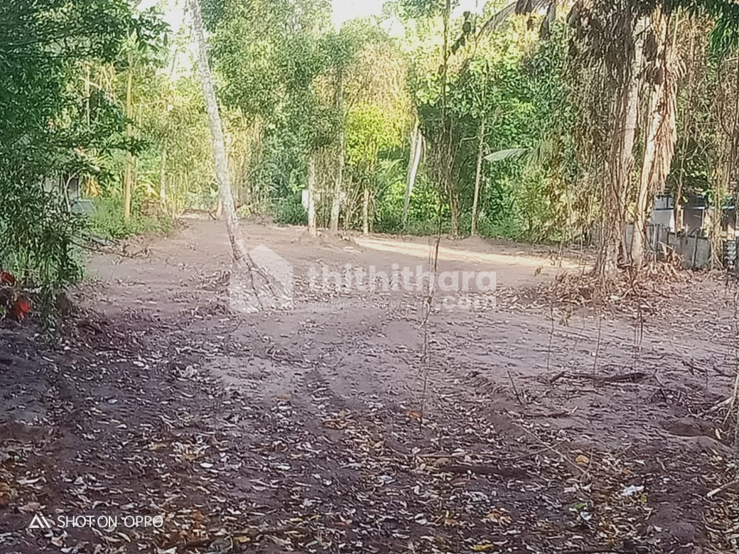 Residential plot for sale in Kottamkulangara Alappuzha 