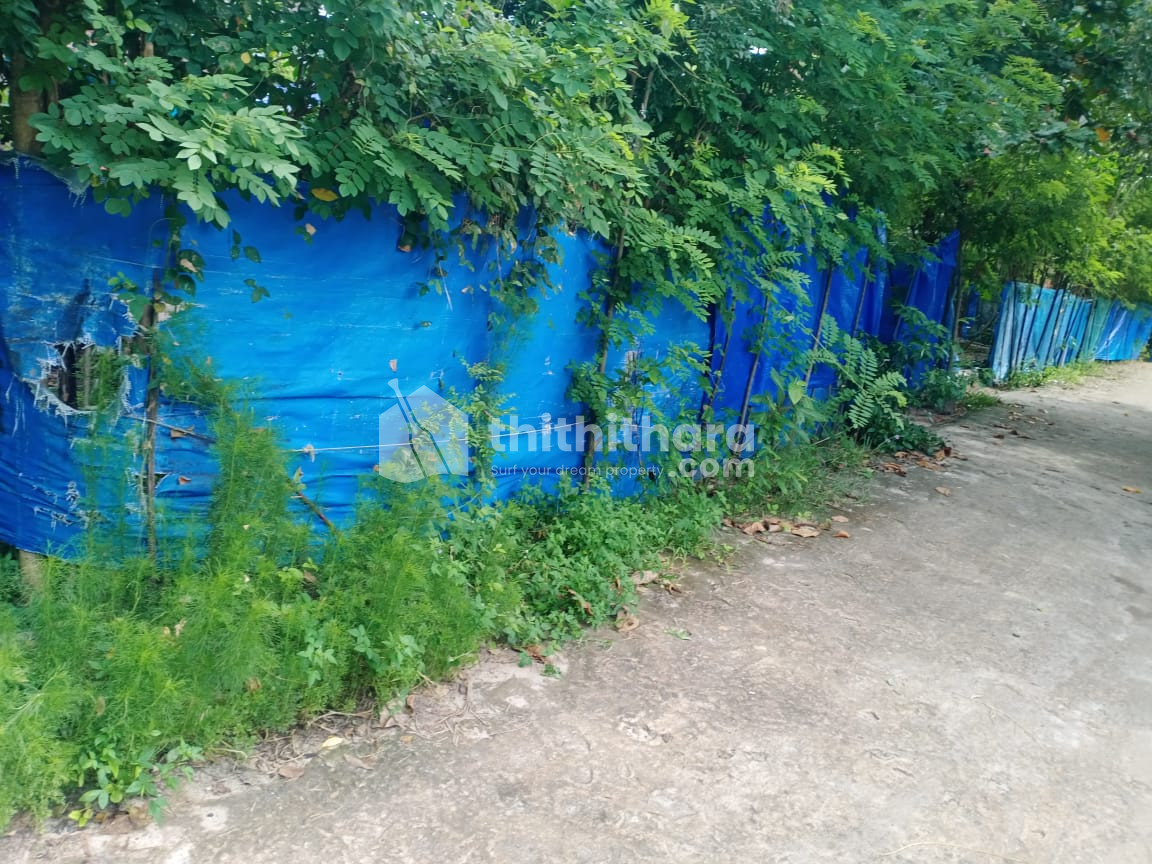 Residential Land for sale in Mayithara Alappuzha