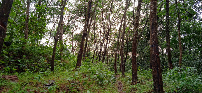38 Cent Land for Sale at Kollam
