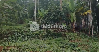 Residential  plot for sale at Perambra Calicut
