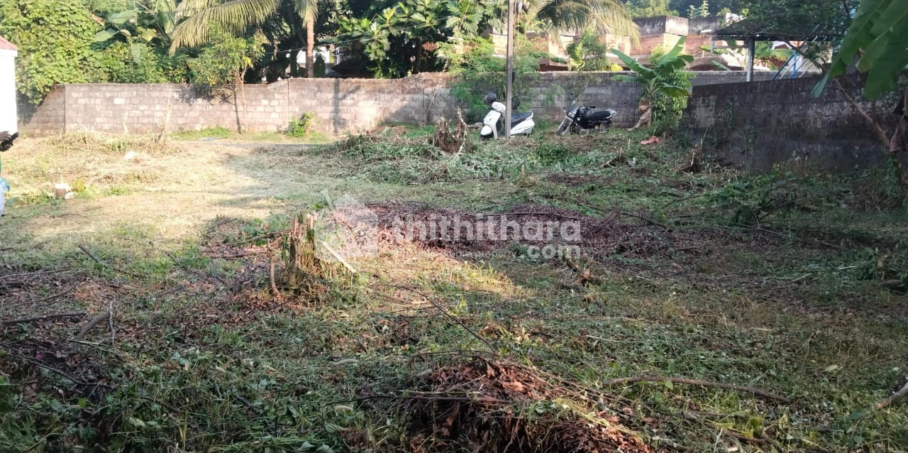 Residential Land for sale at Nedumpuzha Thrissur