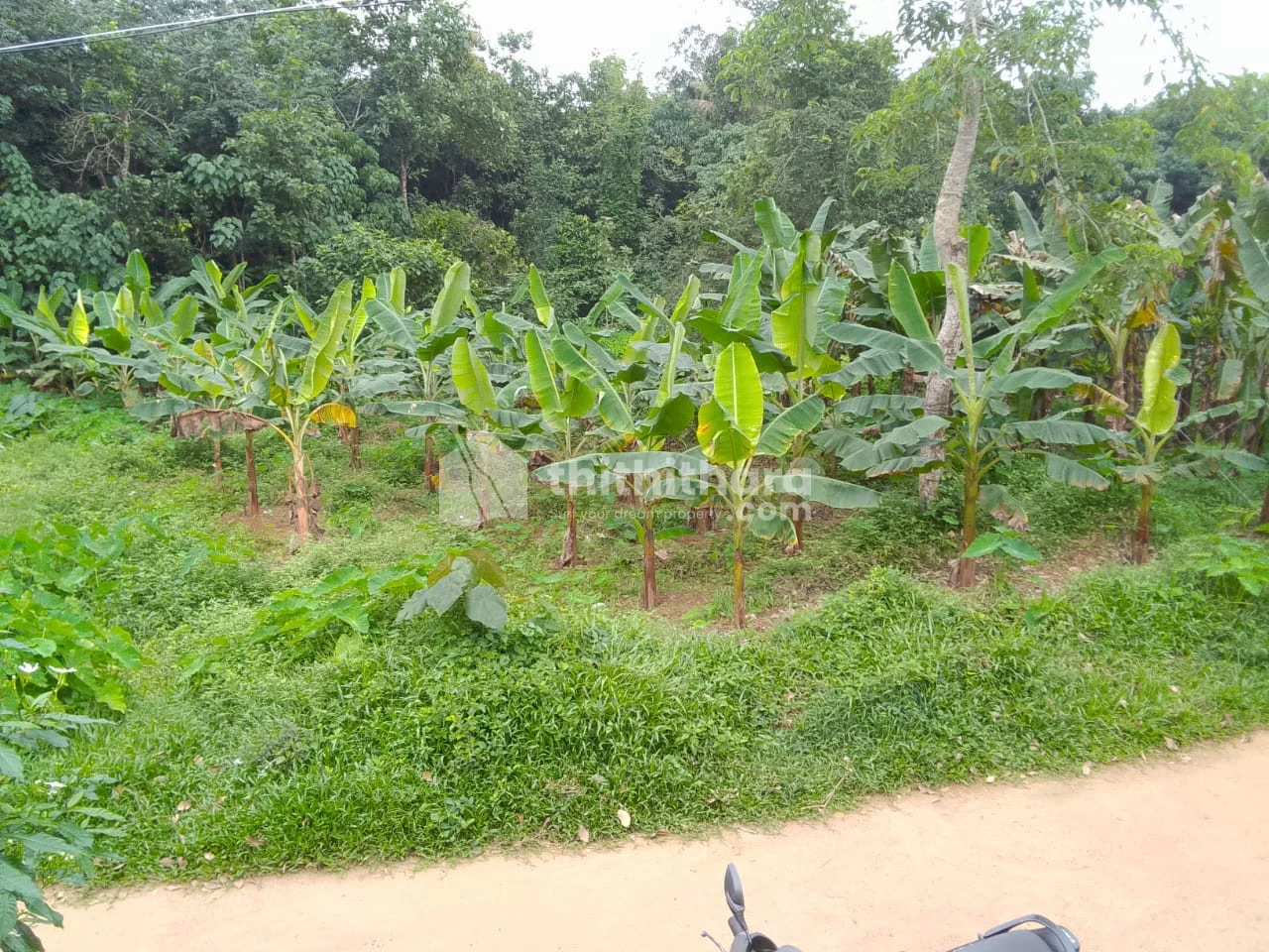 Residential land for sale at Kothamangalam Ernakulam
