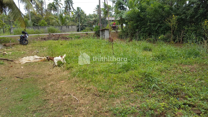 Residential plot for sale at Puthukkad Thrissur