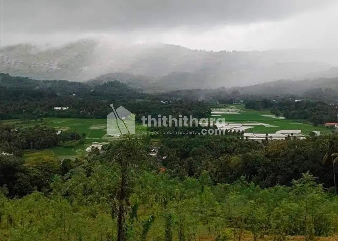 Agricultural land for sale at Ottappalam Palakkad