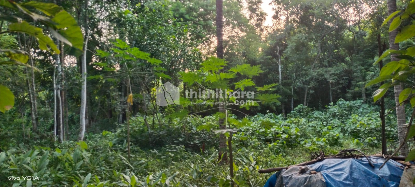 Residential land for sale at Ottappalam Palakkad