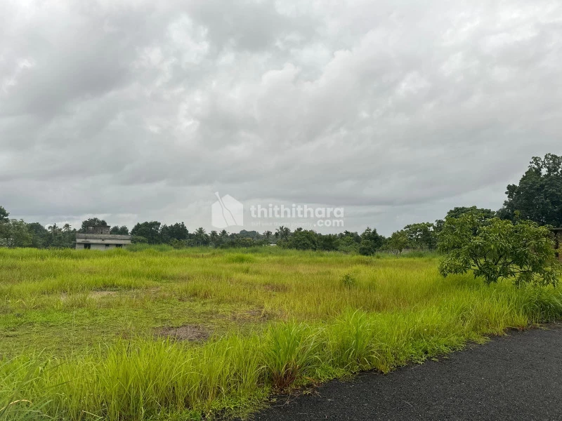 Plot For Sale at Thripunithura Kureekad 