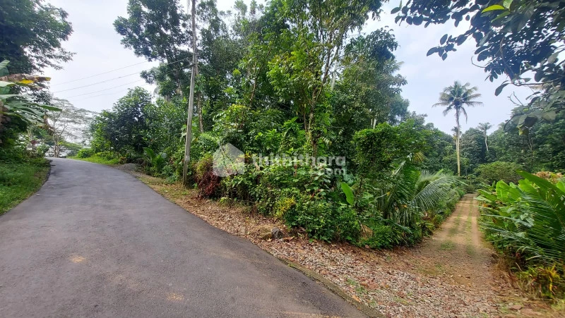Residential plot for sale at Perumbavoor Ernakulam