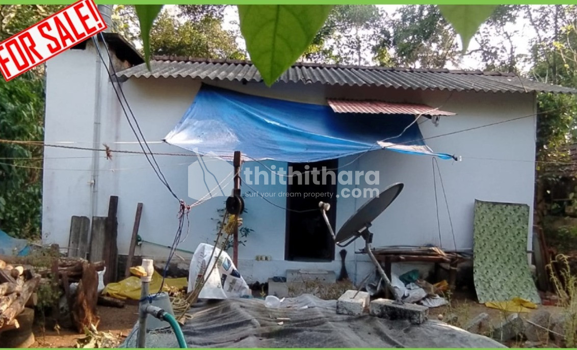 Residential House for Sale at Ranni, Pathanamthitta
